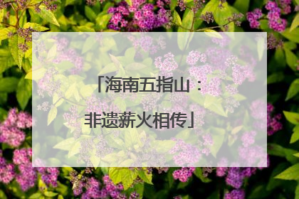 海南五指山：非遗薪火相传
