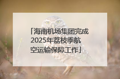 海南机场集团完成2025年荔枝季航空运输保障工作