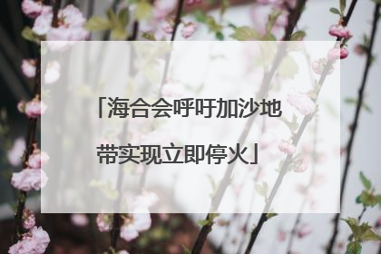 海合会呼吁加沙地带实现立即停火
