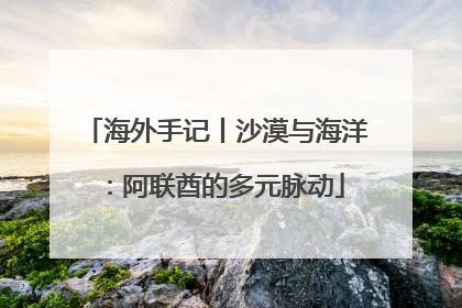 海外手记丨沙漠与海洋：阿联酋的多元脉动