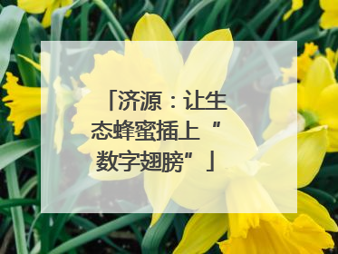 济源：让生态蜂蜜插上“数字翅膀”