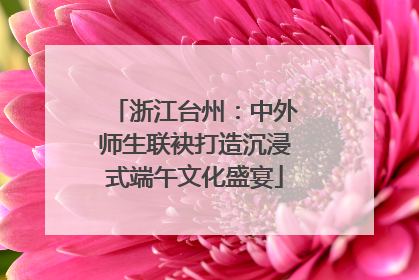 浙江台州：中外师生联袂打造沉浸式端午文化盛宴