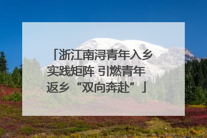 浙江南浔青年入乡实践矩阵 引燃青年返乡“双向奔赴”