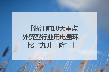 浙江前10大重点外贸型行业用电量环比“九升一降”