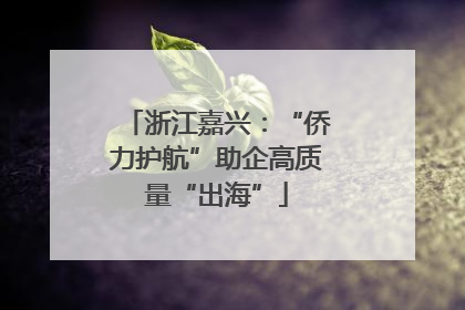 浙江嘉兴：“侨力护航”助企高质量“出海”