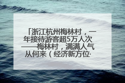 浙江杭州梅林村，一年接待游客超5万人次——梅林村，满满人气从何来（经济新方位·农村消费观察）