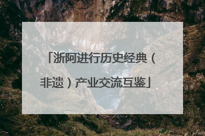 浙阿进行历史经典（非遗）产业交流互鉴
