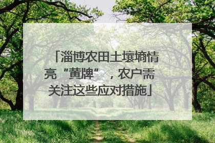 淄博农田土壤墒情亮“黄牌”，农户需关注这些应对措施