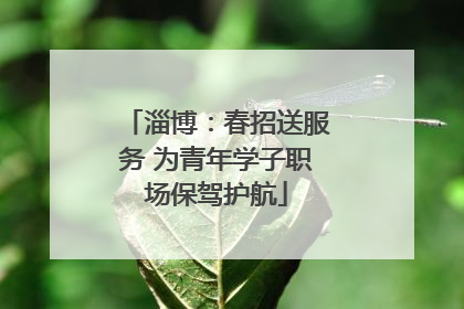 淄博：春招送服务 为青年学子职场保驾护航