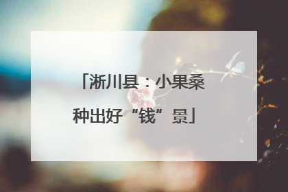 淅川县：小果桑种出好“钱”景