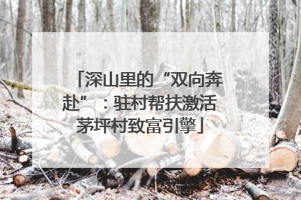深山里的“双向奔赴”：驻村帮扶激活茅坪村致富引擎