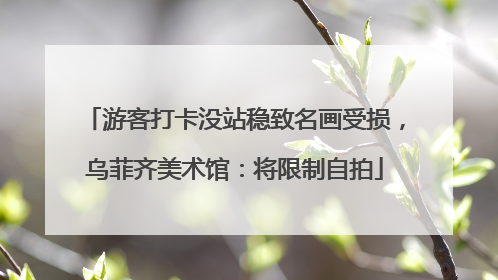 游客打卡没站稳致名画受损，乌菲齐美术馆：将限制自拍
