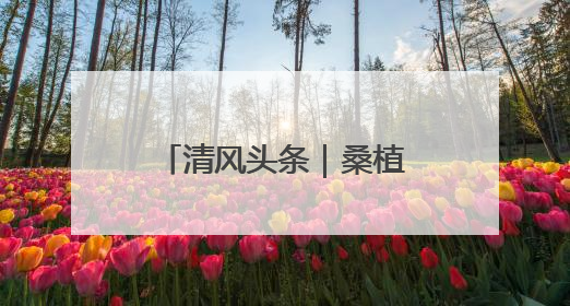 清风头条｜桑植县八大公山镇：系好“思想扣” 走稳“青廉路”
