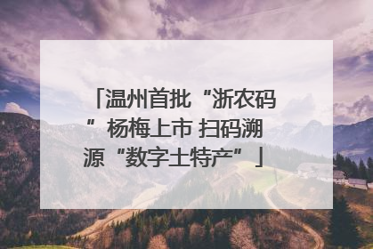 温州首批“浙农码”杨梅上市 扫码溯源“数字土特产”