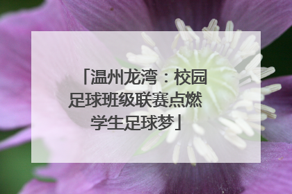 温州龙湾：校园足球班级联赛点燃学生足球梦