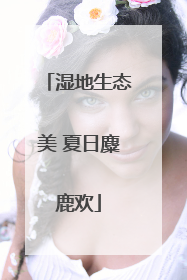 湿地生态美 夏日麋鹿欢