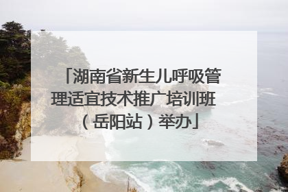 湖南省新生儿呼吸管理适宜技术推广培训班（岳阳站）举办
