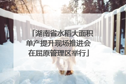 湖南省水稻大面积单产提升现场推进会在屈原管理区举行