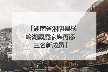 湖南省湘阴县横岭湖麋鹿家族再添三名新成员