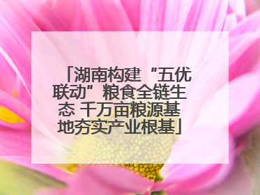湖南构建“五优联动”粮食全链生态 千万亩粮源基地夯实产业根基