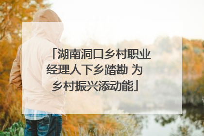 湖南洞口乡村职业经理人下乡踏勘 为乡村振兴添动能