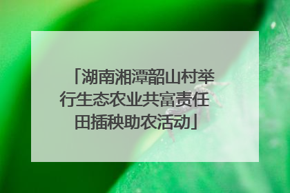 湖南湘潭韶山村举行生态农业共富责任田插秧助农活动