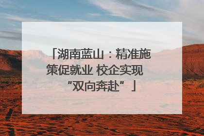 湖南蓝山：精准施策促就业 校企实现“双向奔赴”