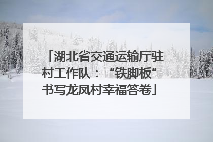 湖北省交通运输厅驻村工作队：“铁脚板”书写龙凤村幸福答卷