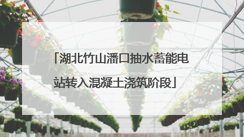 湖北竹山潘口抽水蓄能电站转入混凝土浇筑阶段
