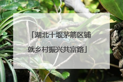 湖北十堰茅箭区铺就乡村振兴共富路