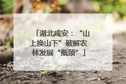 湖北咸安：“山上换山下”破解农林发展“瓶颈”
