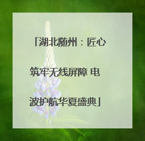 湖北随州：匠心筑牢无线屏障 电波护航华夏盛典