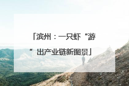 滨州：一只虾“游”出产业链新图景