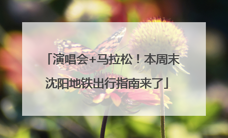 演唱会+马拉松！本周末沈阳地铁出行指南来了