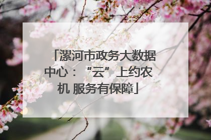 漯河市政务大数据中心：“云”上约农机 服务有保障