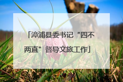 漳浦县委书记“四不两直”督导文旅工作