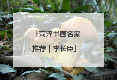 菏泽书画名家推荐｜李长臣
