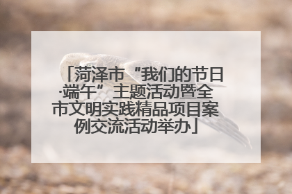 菏泽市“我们的节日·端午”主题活动暨全市文明实践精品项目案例交流活动举办