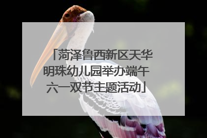 菏泽鲁西新区天华明珠幼儿园举办端午六一双节主题活动