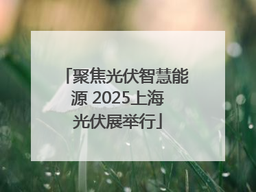 聚焦光伏智慧能源 2025上海光伏展举行