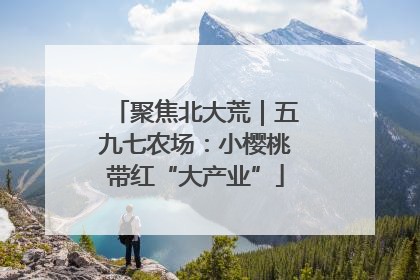 聚焦北大荒｜五九七农场：小樱桃带红“大产业”