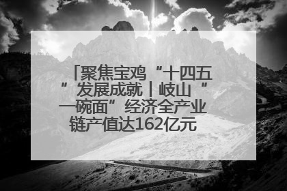 聚焦宝鸡“十四五”发展成就丨岐山“一碗面”经济全产业链产值达162亿元 入选全国典型县