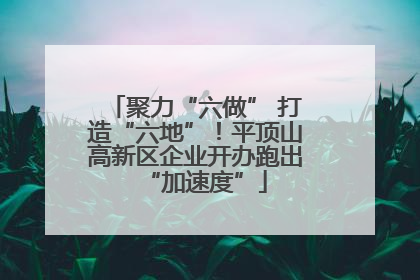 聚力“六做” 打造“六地”！平顶山高新区企业开办跑出“加速度”