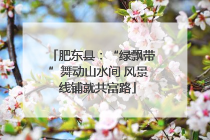 肥东县：“绿飘带”舞动山水间 风景线铺就共富路