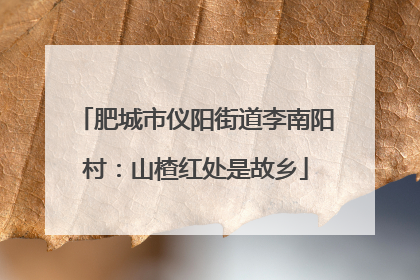 肥城市仪阳街道李南阳村：山楂红处是故乡