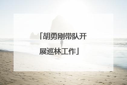 胡勇刚带队开展巡林工作