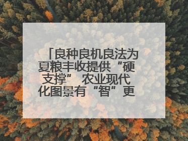 良种良机良法为夏粮丰收提供“硬支撑” 农业现代化图景有“智”更有“质”