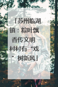 苏州临湖镇：粽叶飘香传文明 村村有“戏”树新风