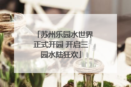 苏州乐园水世界正式开园 开启三园水陆狂欢