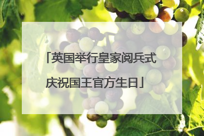 英国举行皇家阅兵式庆祝国王官方生日